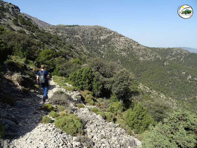 Viejo camino, con tramos de mamposteria, por la ladera del cerro Cagasebo. Nos baja al barranco de la Hoya del Caño