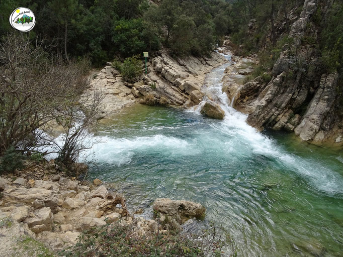 Junta del arroyo de las Truchas o Gracea, con el río Borosa