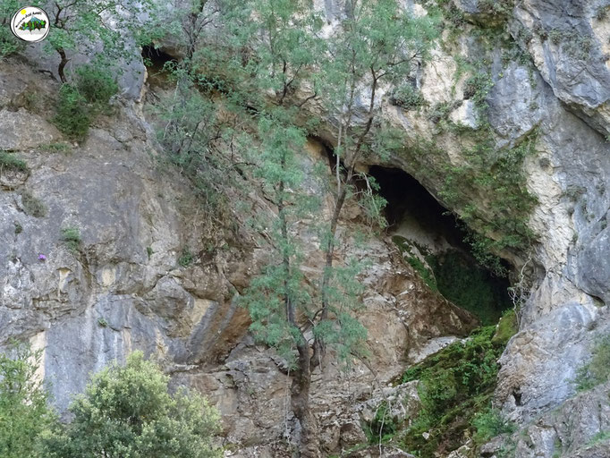 Cueva del Nacimiento