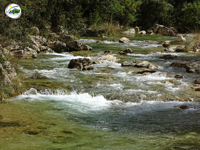 Río Borosa