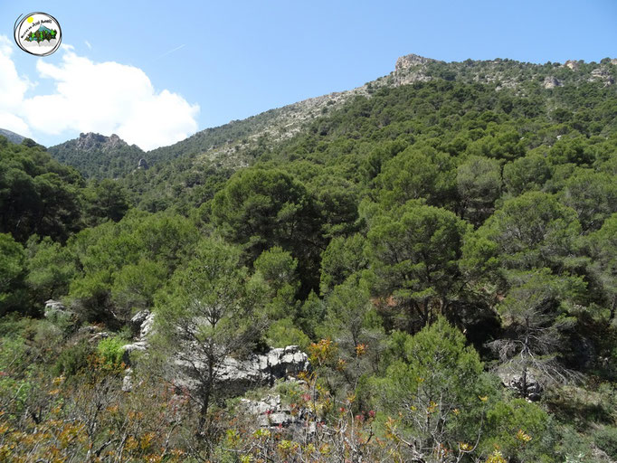 Cerro Caracoles