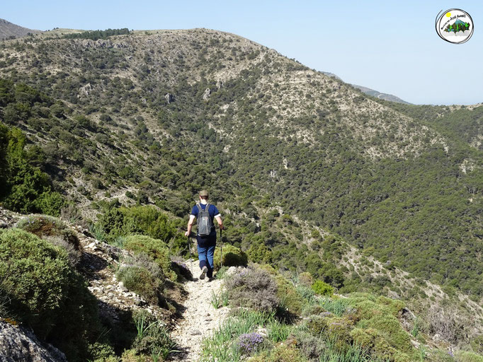 Viejo camino, con tramos de mamposteria, por la ladera del cerro Cagasebo. Nos baja al barranco de la Hoya del Caño