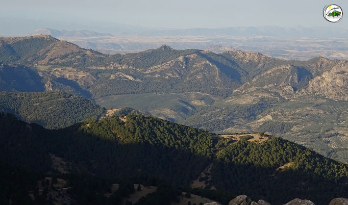 Cerro del Madroñal, cerro de las Carboneras...