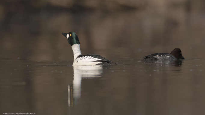 Land Brandenburg, 25.03.2018