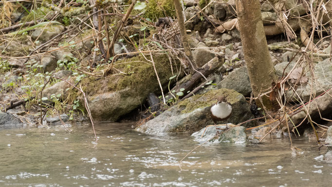 Steinbach, Bayern Februar 2018