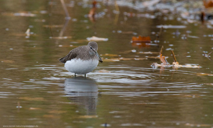 Land Brandenburg November 2017