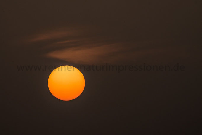 Spreeau, Brandenburg 31.10.2015, Sonnenaufgang 