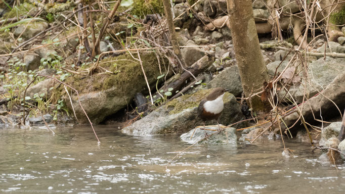 Steinbach, Bayern Februar 2018