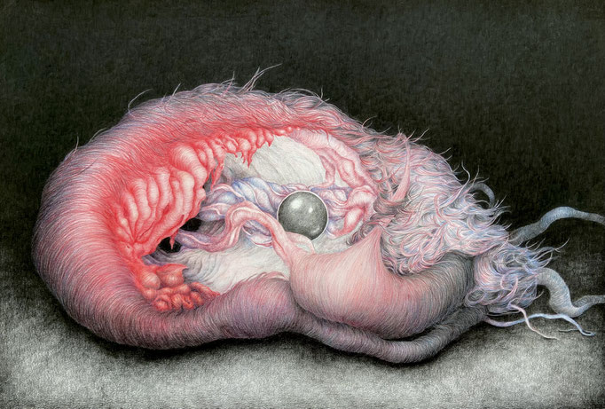 Specimen 3 (2011), kleurpotlood op papier, 43 x 65 cm.