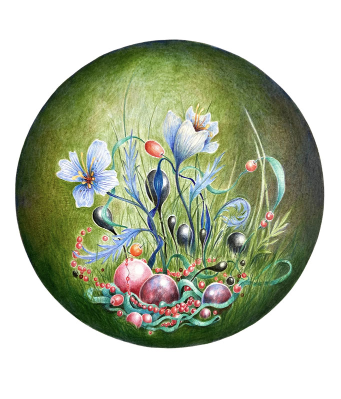 zonder titel (2025), kleurpotlood op papier, 29 x 27 cm (getekende deel: diameter 19 cm).