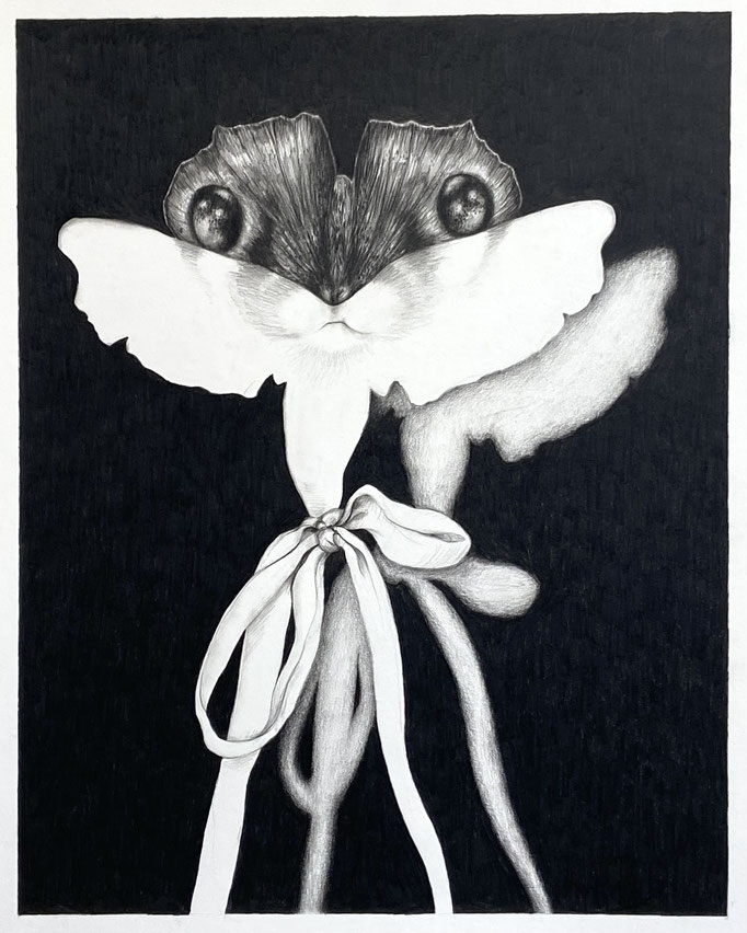 Vliegertje (2023), zwart kleurpotlood op papier, 50 x 40 cm.