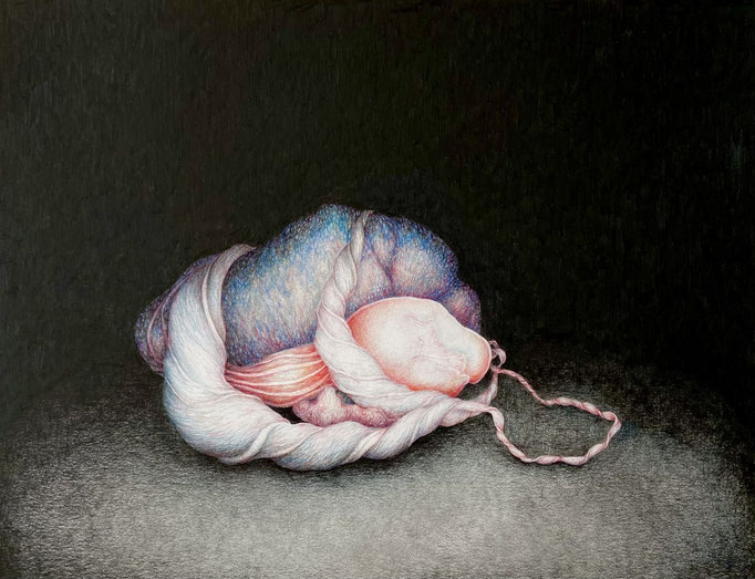 Vruchtlichaam 4 (2011), kleurpotlood op papier, 35 x 45 cm.