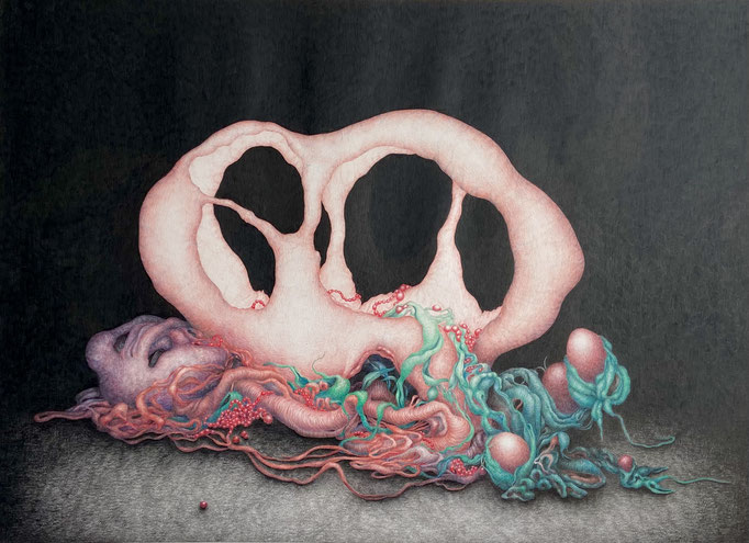 Vruchtlichaam 2 (2011), kleurpotlood op papier, 57 x 78 cm.