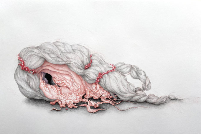 Prinsessenpruikje (2011), kleurpotlood op papier, 39 x 65 cm.
