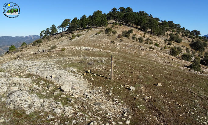 Cerro de los Atajadores, "Viñuela"
