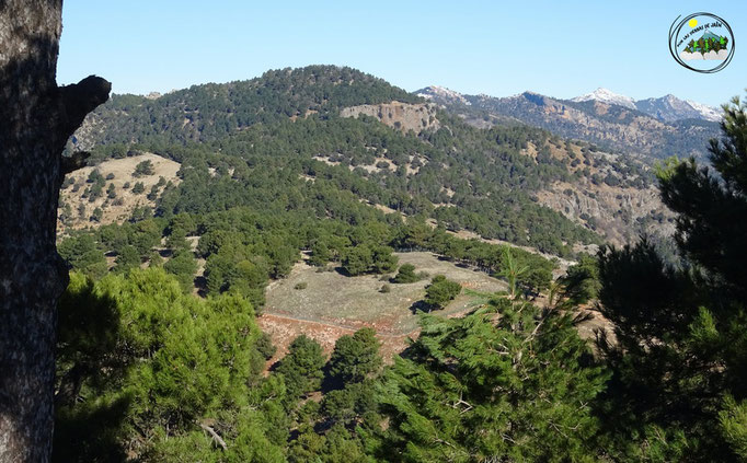 Cerro de las Albardas