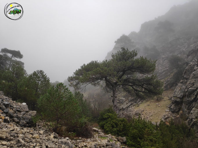 Entrada al camino del barranco de la Cueva de Jaén