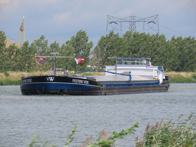 Motorvrachtschip Festine Vere ENI 02323935 Born