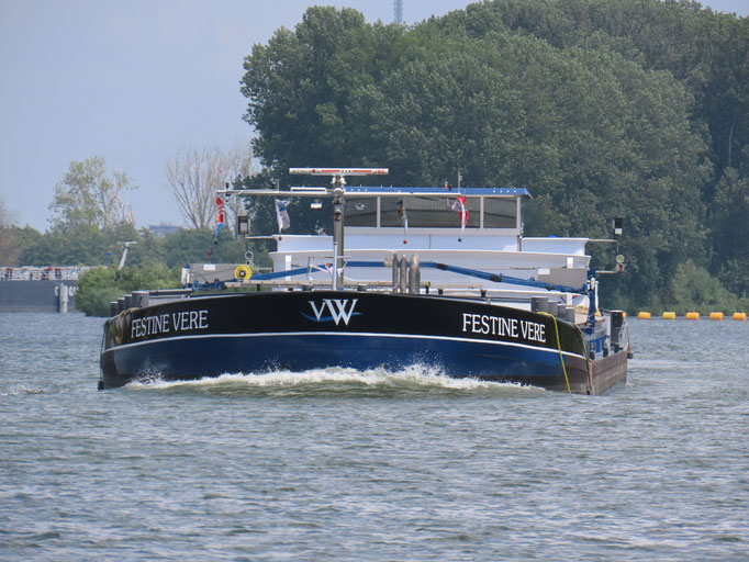 Motorvrachtschip Festine Vere ENI 02323935 op de Maas