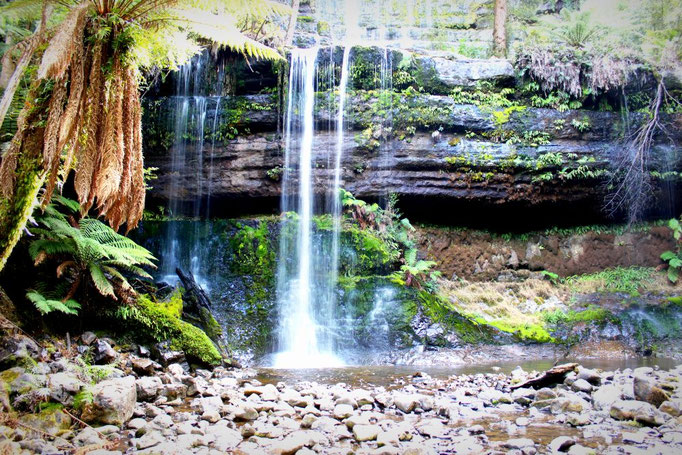 Mount-Field-Nationalpark, Tasmanien