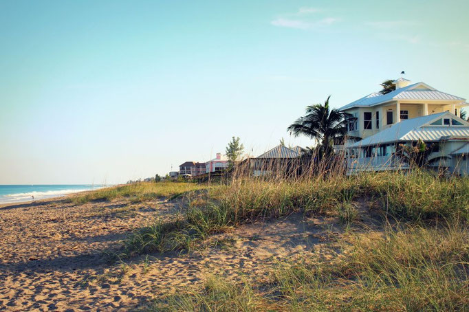 Palmenstrand an der Ostküste, Florida