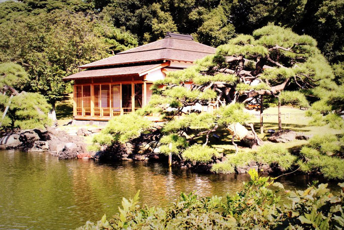 Hamarikyu Gardens 