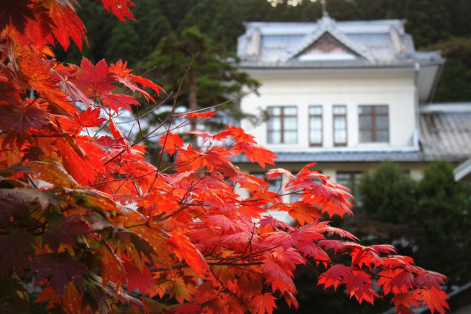 Herbststimmung in Nikko