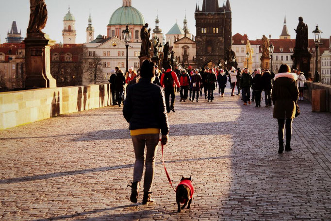 Karlsbrücke Prag