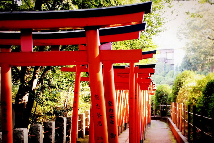 Nezu Schrein im Stadtteil Bunkyō