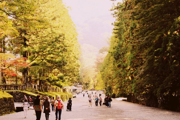 Nikko
