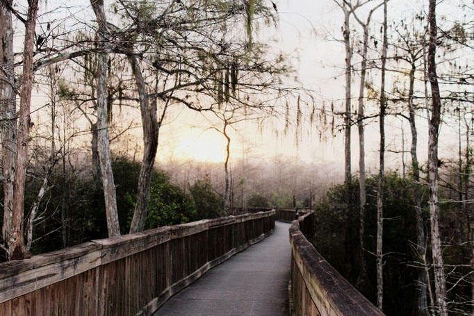 Everglades, Florida