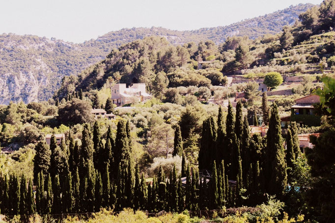 Valldemossa