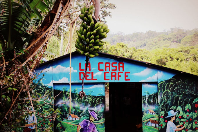 Kaffeeplantage in Monteverde, Costa Rica
