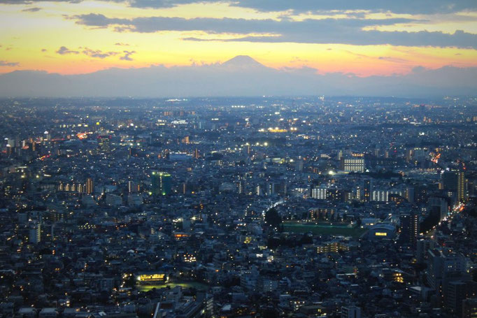 Blick über Tokio