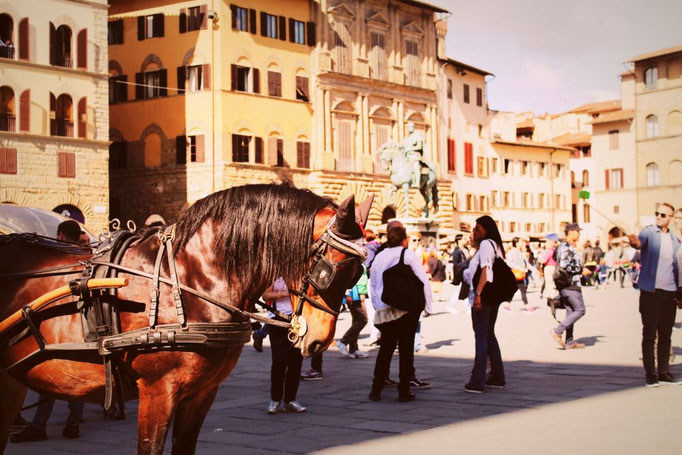 Domplatz Florenz