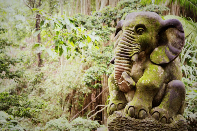 Monkey Forrest von Ubud