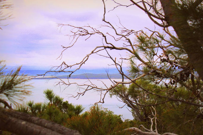 Freycinet Nationalpark in Tasmanien