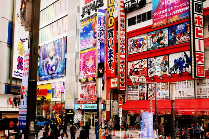 Der Stadtteil Akibahara