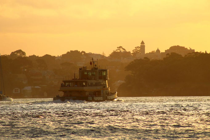 Fähre in Sydney