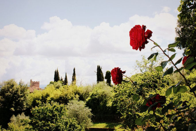 Landschaft der Toskana