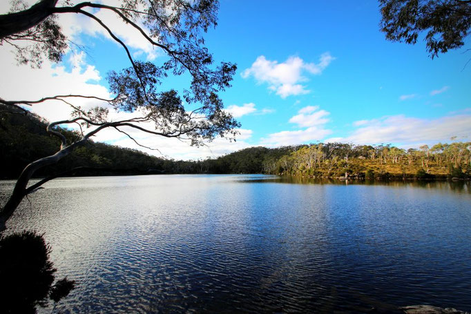 Mount-Field-Nationalpark, Tasmanien