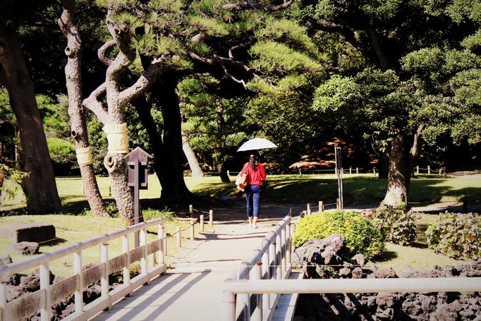 Hamarikyu Gardens 