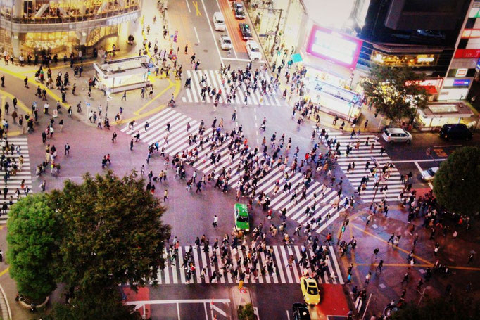 Shibuya Crossing bei Nacht