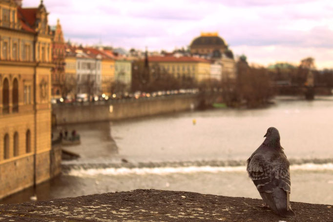 Prag