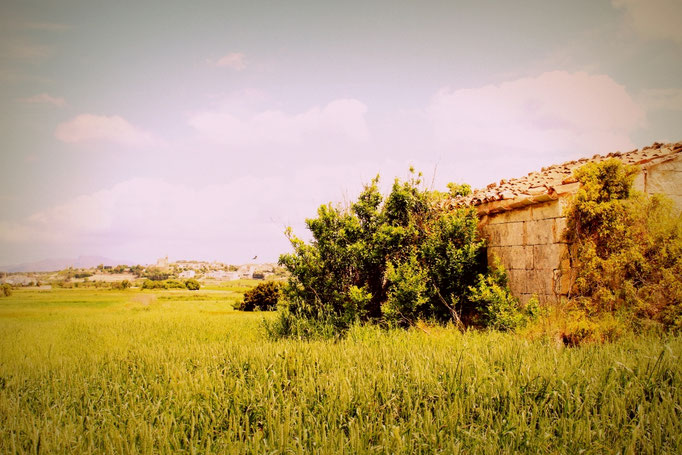 Landschaft bei Santa Margalida