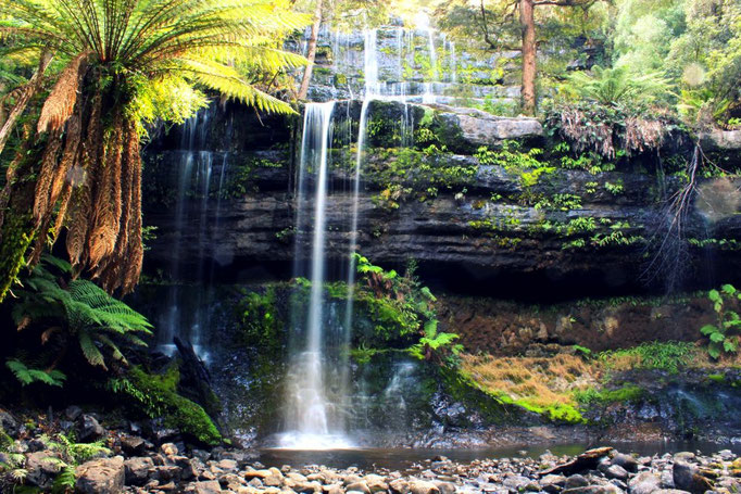 Mount-Field-Nationalpark, Tasmanien