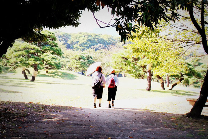 Hamarikyu Gardens 