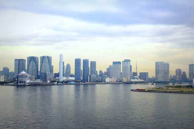 Die Skyline von Tokio
