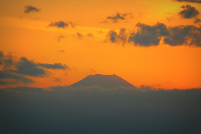 Der Fuji San