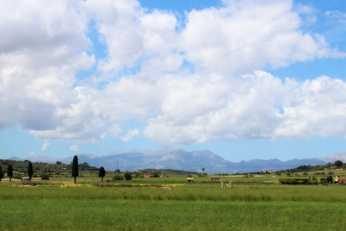 Landschaft bei Santa Margalida